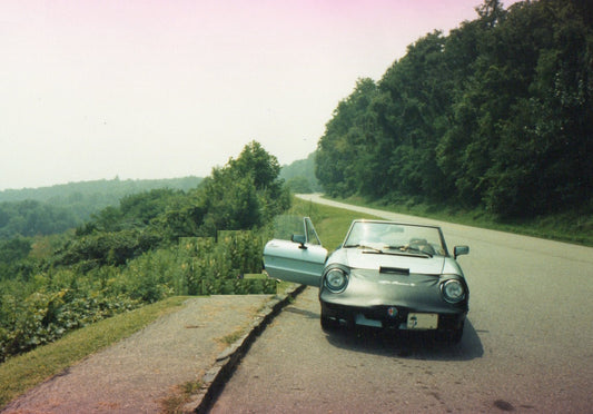 Citrus Shower/Bath Bar Soap made with goat's milk (SOLD OUT)