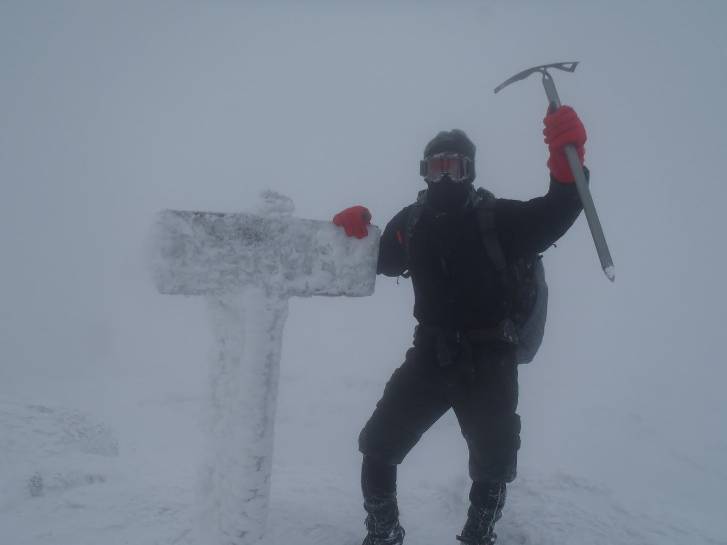 Eucalyptus Soap Bar made with goat's milk
