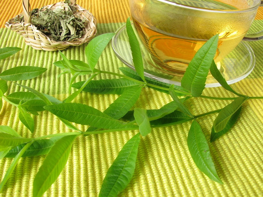 Lemon Verbena Bath Soap made with goat's milk (SOLD OUT)