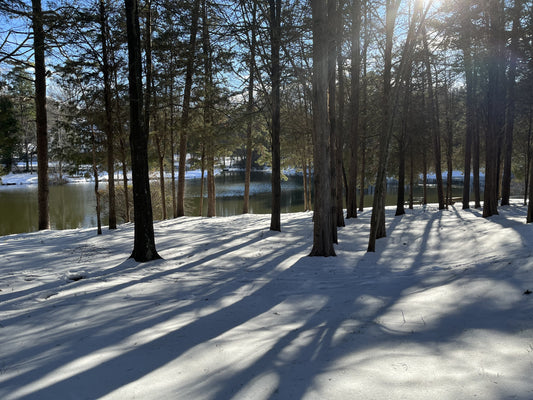 Southern Pine Shower/Bath Soap
