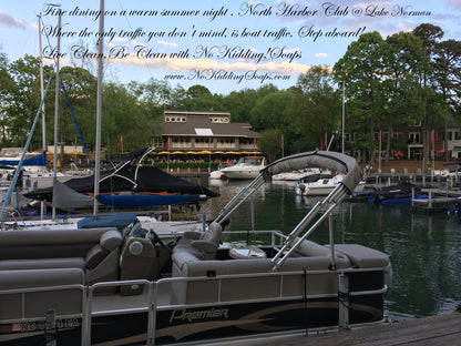 Eucalyptus Soap Bar made with goat's milk - No Kidding! Soaps