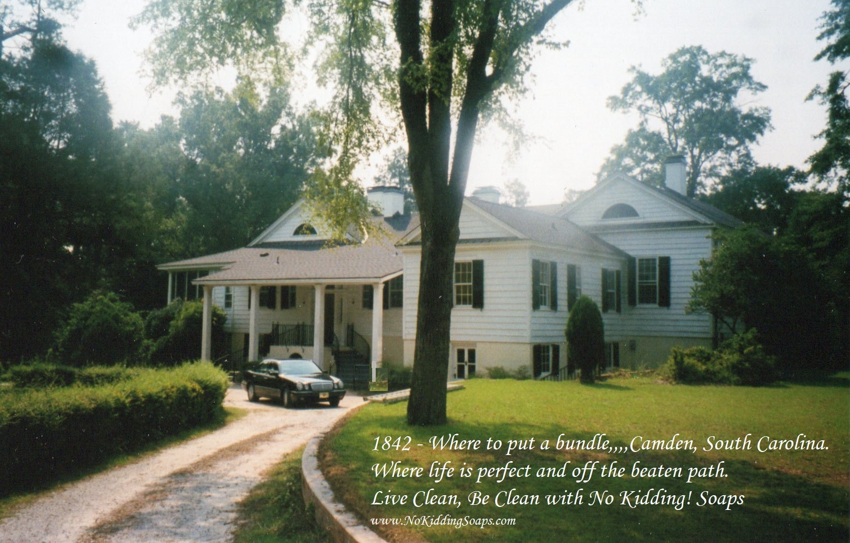 Southern Pine Shower/Bath Soap - No Kidding! Soaps