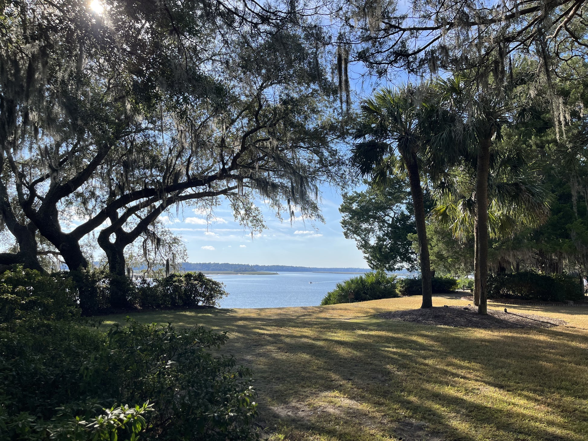 Eucalyptus Soap Bar made with goat's milk - No Kidding! Soaps