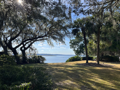 Eucalyptus Soap Bar made with goat's milk - No Kidding! Soaps
